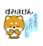 飛び出す！丁寧でやさしい豆柴（個別スタンプ：6）