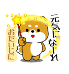 飛び出す！丁寧でやさしい豆柴（個別スタンプ：7）