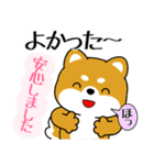 飛び出す！丁寧でやさしい豆柴（個別スタンプ：8）