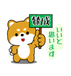 飛び出す！丁寧でやさしい豆柴（個別スタンプ：9）
