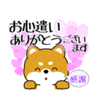 飛び出す！丁寧でやさしい豆柴（個別スタンプ：10）