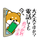 飛び出す！丁寧でやさしい豆柴（個別スタンプ：13）