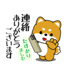 飛び出す！丁寧でやさしい豆柴（個別スタンプ：14）