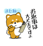 飛び出す！丁寧でやさしい豆柴（個別スタンプ：16）