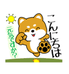 飛び出す！丁寧でやさしい豆柴（個別スタンプ：19）