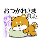 飛び出す！丁寧でやさしい豆柴（個別スタンプ：20）