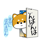 飛び出す！丁寧でやさしい豆柴（個別スタンプ：21）