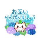 涼しげ★毎年使える夏★ネコのご挨拶（個別スタンプ：21）