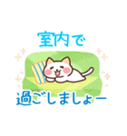 涼しげ★毎年使える夏★ネコのご挨拶（個別スタンプ：22）