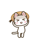 夏のアレンジ♪まいにちねこる（個別スタンプ：6）