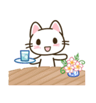 夏のアレンジ♪まいにちねこる（個別スタンプ：11）