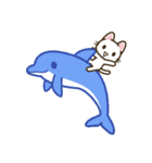 夏のアレンジ♪まいにちねこる（個別スタンプ：34）