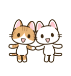 夏のアレンジ♪まいにちねこる（個別スタンプ：40）