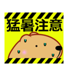 きゃぴばら【夏6】（個別スタンプ：1）