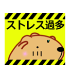 きゃぴばら【夏6】（個別スタンプ：12）