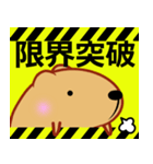 きゃぴばら【夏6】（個別スタンプ：15）