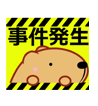 きゃぴばら【夏6】（個別スタンプ：17）