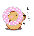 きゃぴばら【夏6】（個別スタンプ：29）