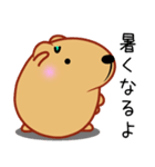きゃぴばら【夏6】（個別スタンプ：33）