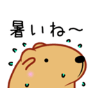 きゃぴばら【夏6】（個別スタンプ：34）