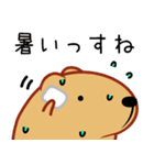 きゃぴばら【夏6】（個別スタンプ：35）