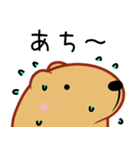 きゃぴばら【夏6】（個別スタンプ：36）