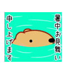 きゃぴばら【夏6】（個別スタンプ：37）