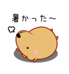 きゃぴばら【夏6】（個別スタンプ：40）