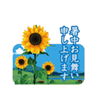 【動く 暑中見舞い 夏 サマー】（個別スタンプ：1）