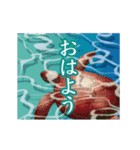 【動く 暑中見舞い 夏 サマー】（個別スタンプ：23）