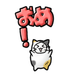 猫頭巾03（三毛）（個別スタンプ：5）