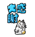 猫頭巾03（三毛）（個別スタンプ：25）