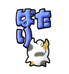 猫頭巾03（三毛）（個別スタンプ：35）