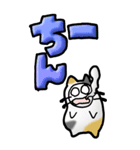 猫頭巾03（三毛）（個別スタンプ：36）