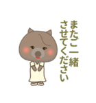 CAウォンバット♥くま（個別スタンプ：20）