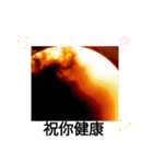 水星は昔生命が存在していた 日常挨拶8月（個別スタンプ：25）