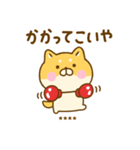 関西弁で煽るゆる柴犬カスタム（個別スタンプ：1）