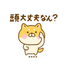 関西弁で煽るゆる柴犬カスタム（個別スタンプ：11）