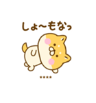 関西弁で煽るゆる柴犬カスタム（個別スタンプ：14）