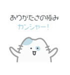 ゆる猫、きょうも平常運転です｜日本語ver2（個別スタンプ：11）