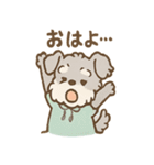 シュナウザーは毎日たのしい（個別スタンプ：1）