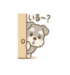 シュナまるの四季のわくわく日常（個別スタンプ：1）