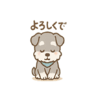 シュナまるの四季のわくわく日常（個別スタンプ：12）
