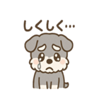 シュナまるの四季のわくわく日常（個別スタンプ：17）
