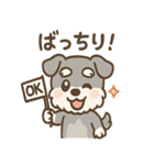 シュナまるの四季のわくわく日常（個別スタンプ：20）