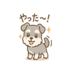 シュナまるの四季のわくわく日常（個別スタンプ：23）