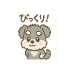 シュナまるの四季のわくわく日常（個別スタンプ：24）