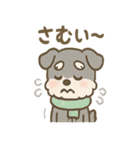 シュナまるの四季のわくわく日常（個別スタンプ：26）