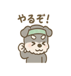 シュナまるの四季のわくわく日常（個別スタンプ：27）
