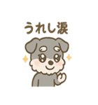 シュナまるの四季のわくわく日常（個別スタンプ：28）